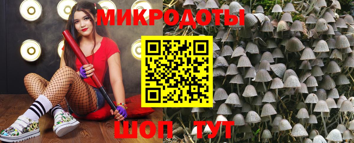 Бузулук  Галлюциногенные грибы Psilocybe  Псилоцибиновые грибы GOLDEN TEACHER  продажа наркотиков  Вход с VPN 